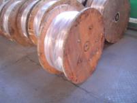 W020251125589501481985